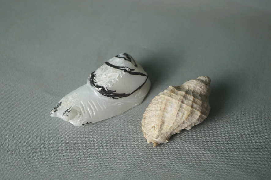 Передняя часть, слева, приподнята и выглядит так, будто улитку немножко занесло на скоростном повороте ))