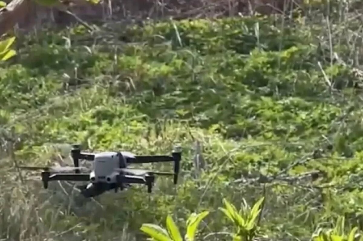    Павел Малков сообщил о сбитом над Рязанской областью БПЛА