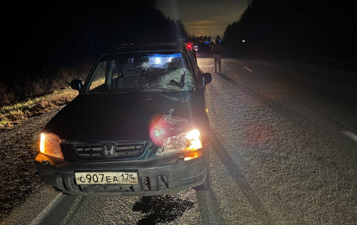 Фото: пресс-служба Госавтоинспекции по Челябинской области