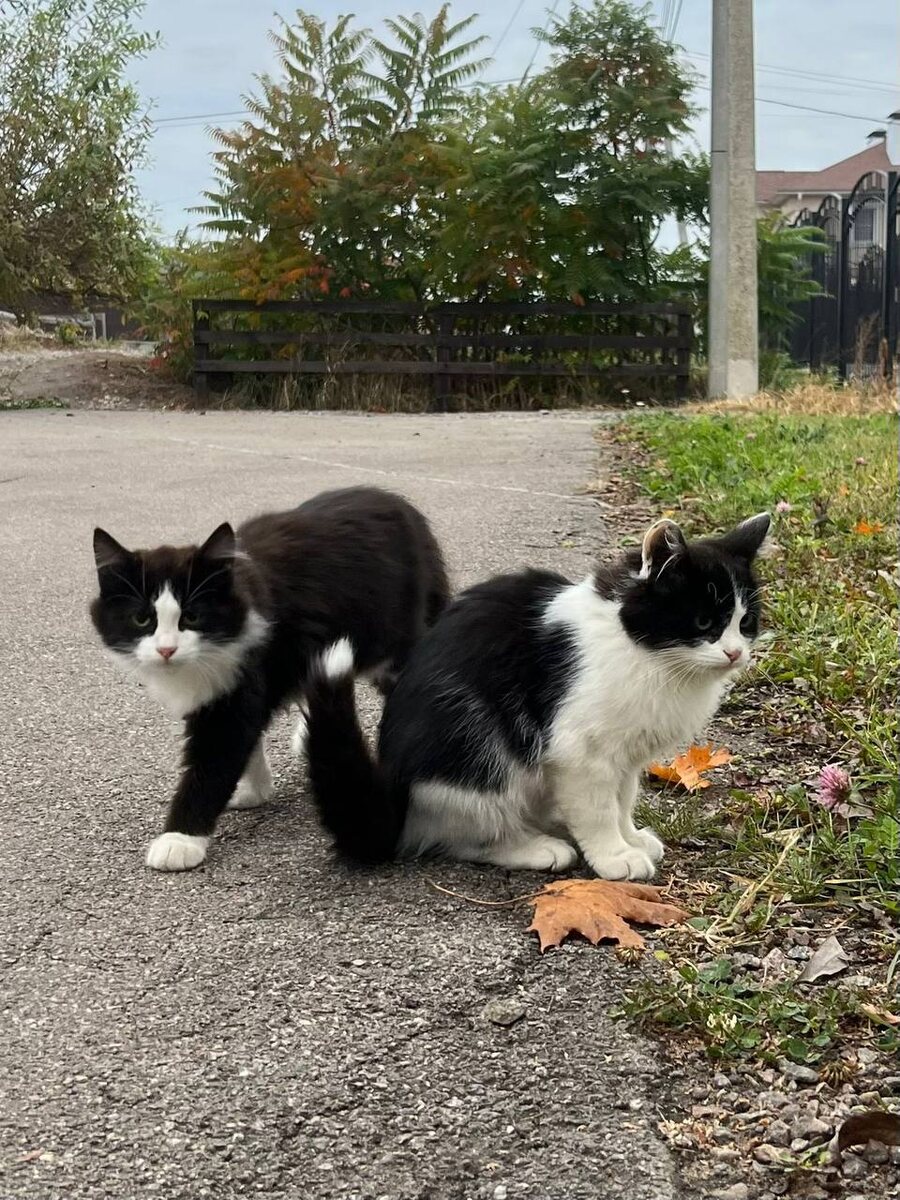 Людьми интересуются, но близко не походят. Фото из архива автора