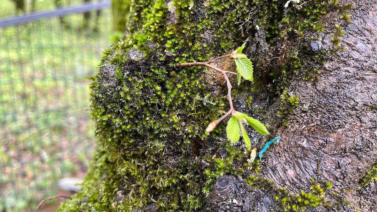    Фото: телеканал «Краснодар»