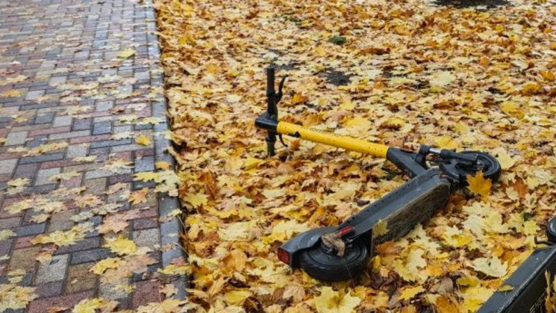      Фото: ИА «Победа26»