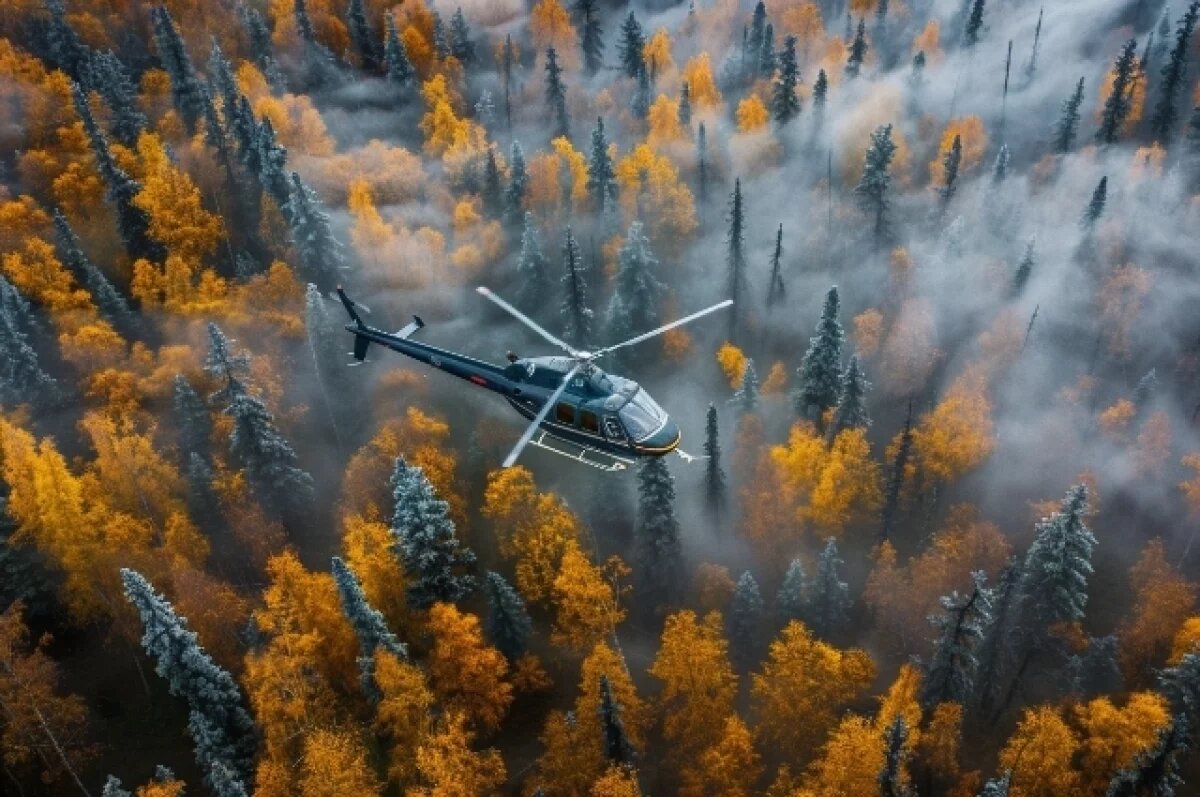    В октябре пропитание в тайге найти сложно.
