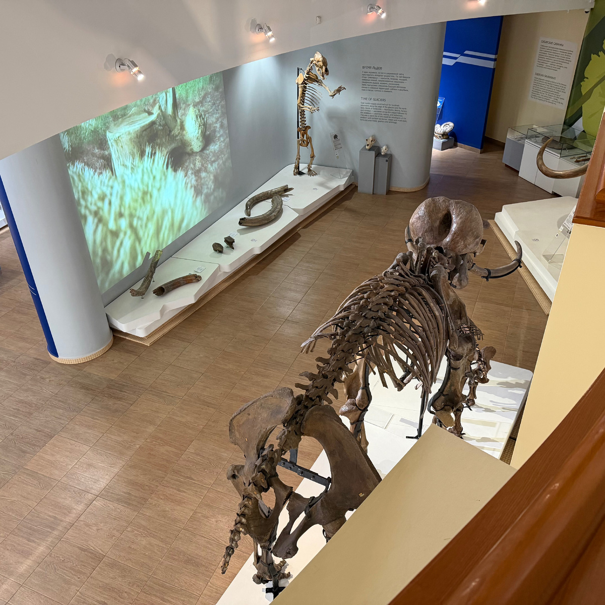 Музей Природы и Человека 