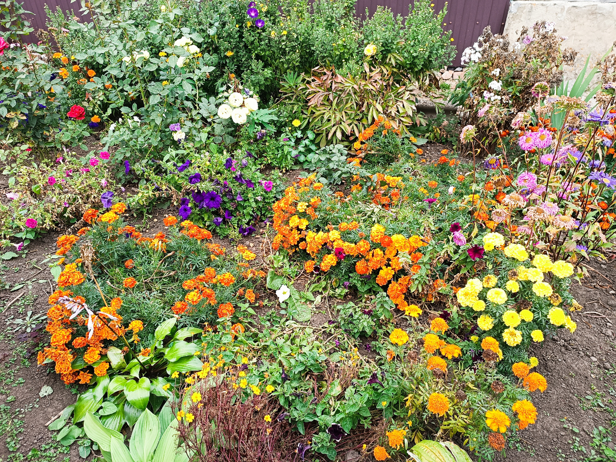 Так было в конце сентября