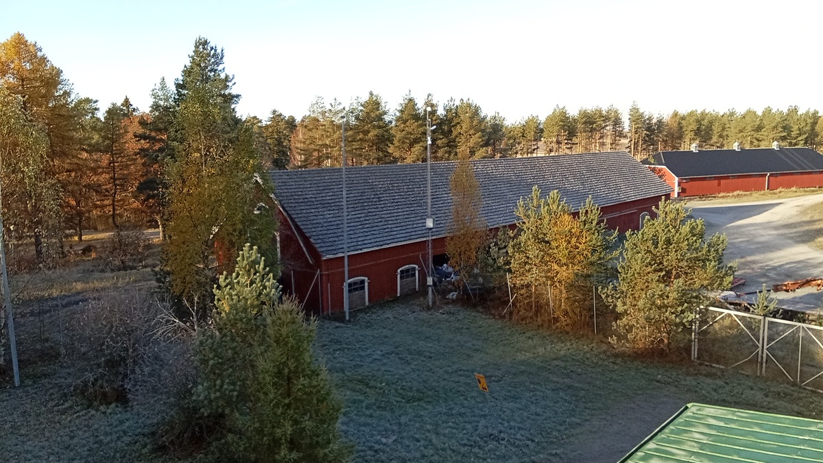 Пейзаж за окном. Ночью было минус 5