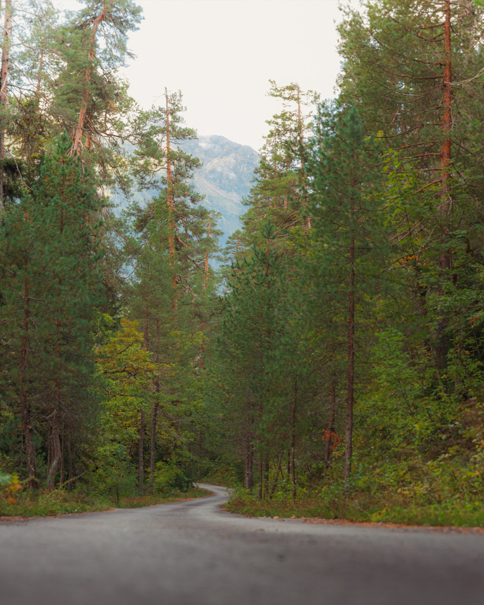 Фото с фотоаппарата