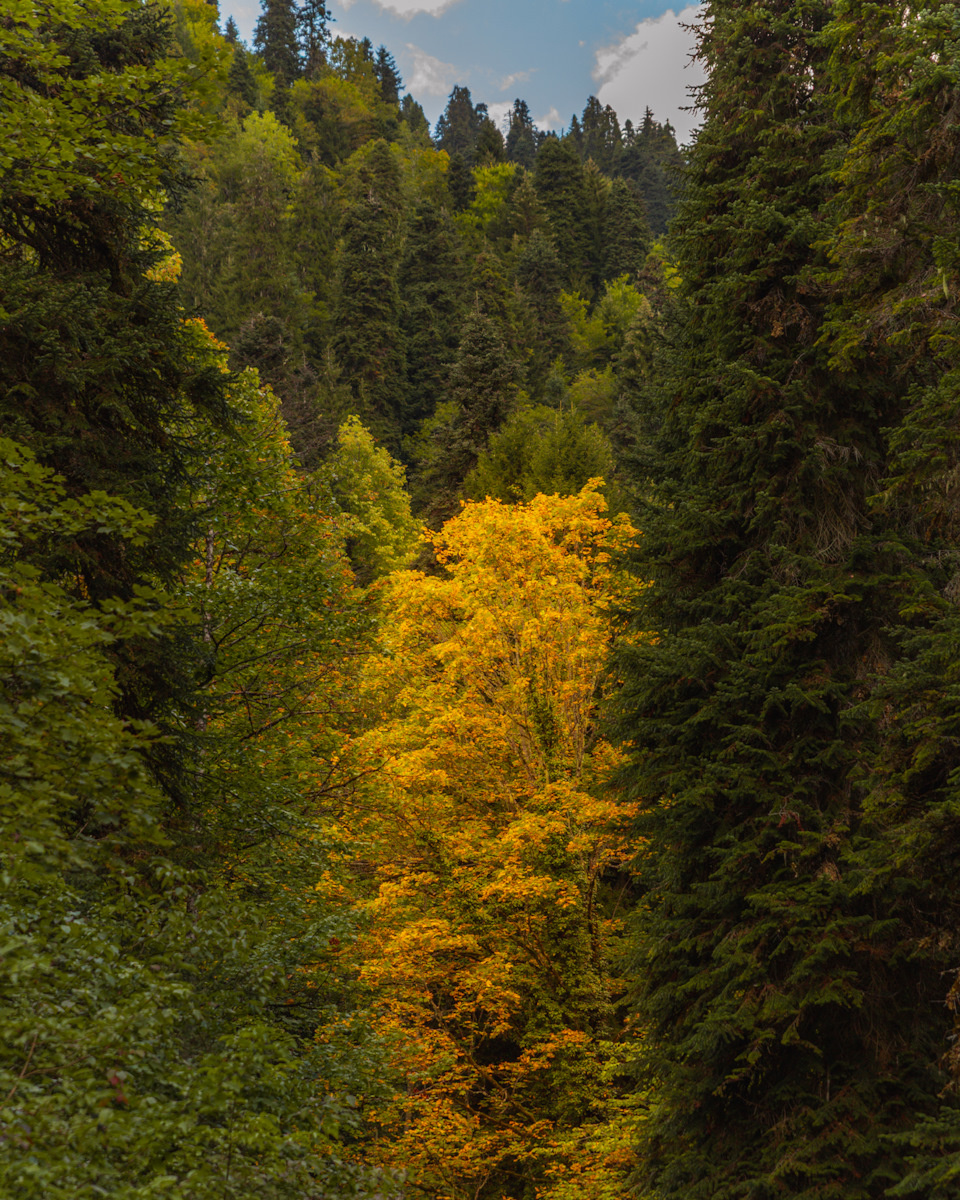 Фото с фотоаппарата