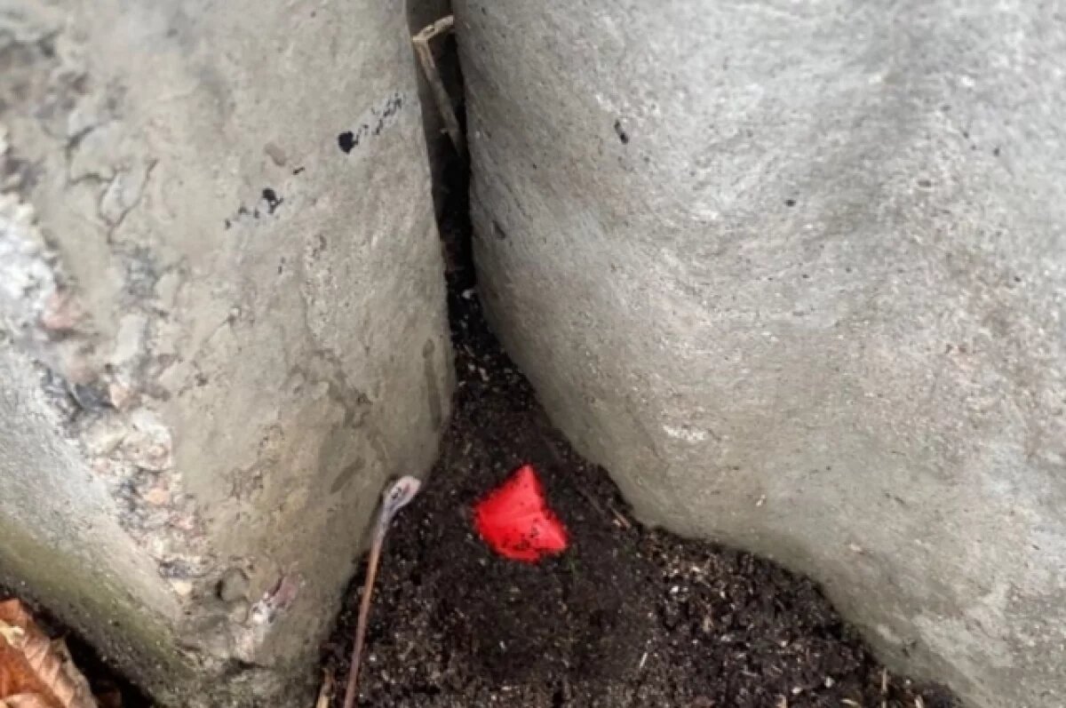    На Беляковском переулке в Твери задержали наркозакладчика