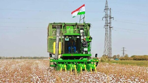    © Foto / Пресс-служба администрации Согдийской области