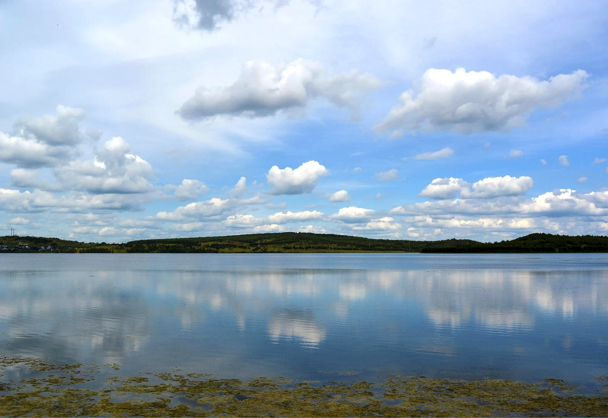 Фотография автора.