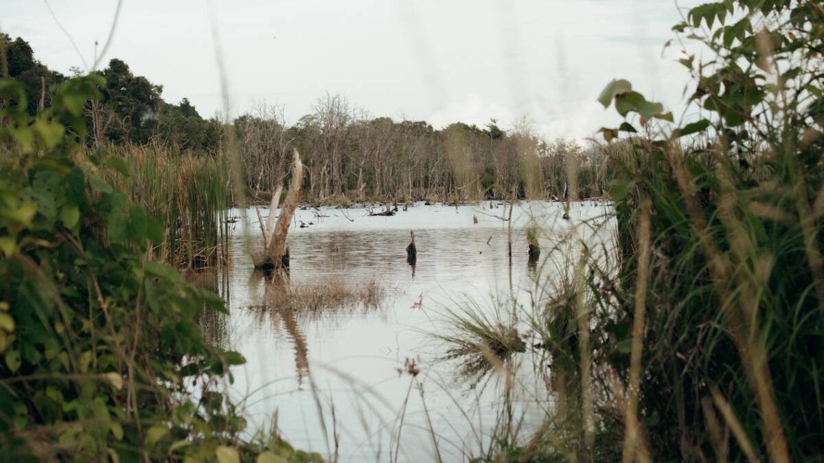    Фото: Shutterstock