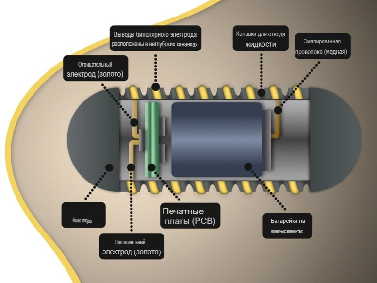 Неинвазивная система FLASH, созданная по образу и подобию кожи ящерицы, с помощью электроники стимулирует выработку ключевого гормона голода.