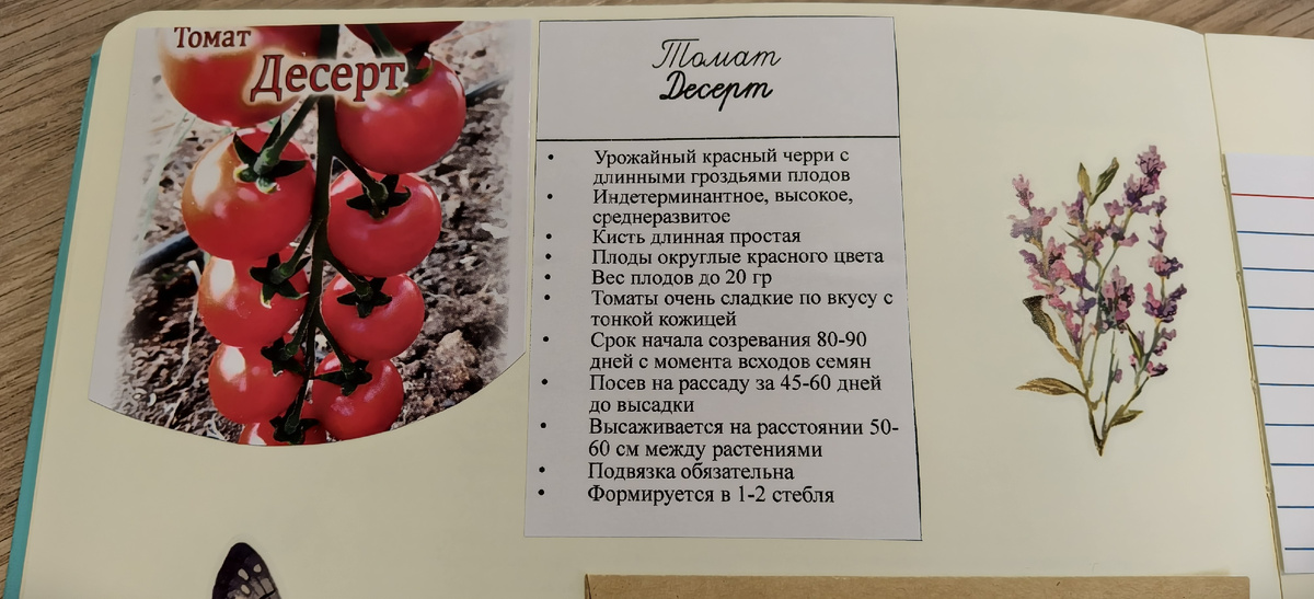Томат "Десерт"