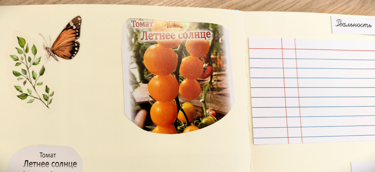 Томат "Летнее солнце"