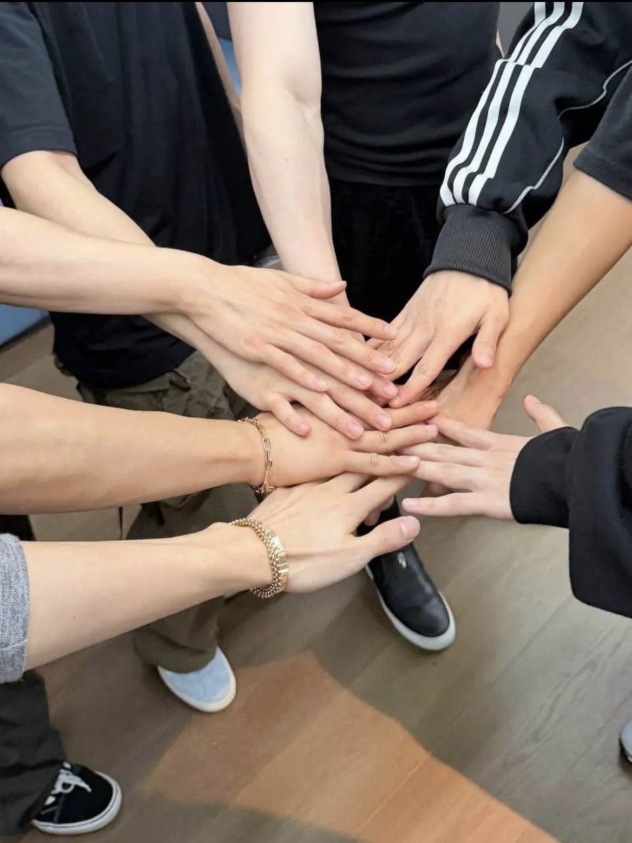 Руки для угадывания) Мемберы Stray Kids)