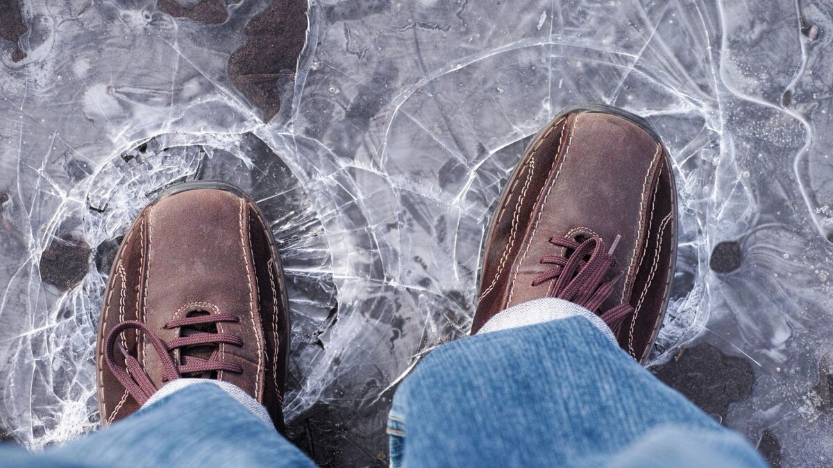    Фото: StepanPopov/Shutterstock/Fotodom