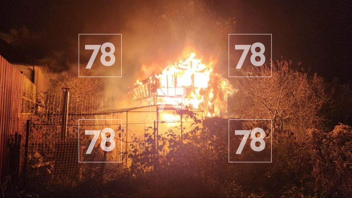    Фото: 78.ru