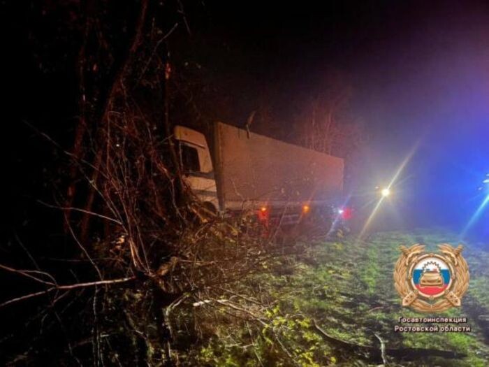 Иллюстрация: УГИБДД РО