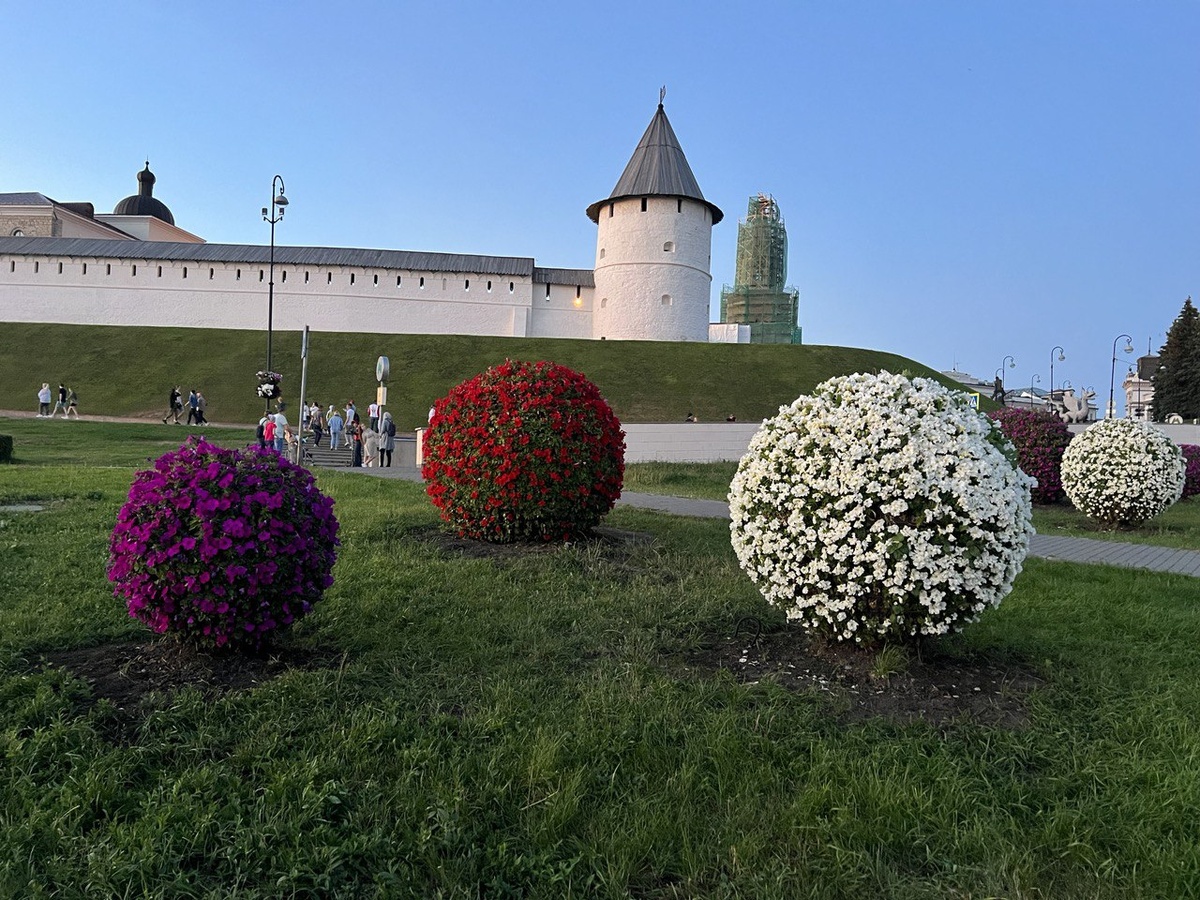 Шары из петуний на площади в Казани. Фото автора