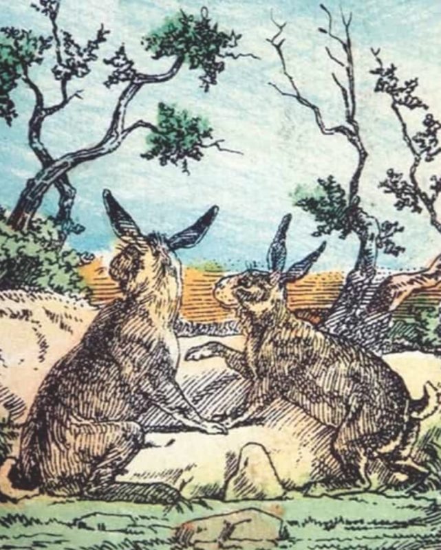 Ответ в следующей статье