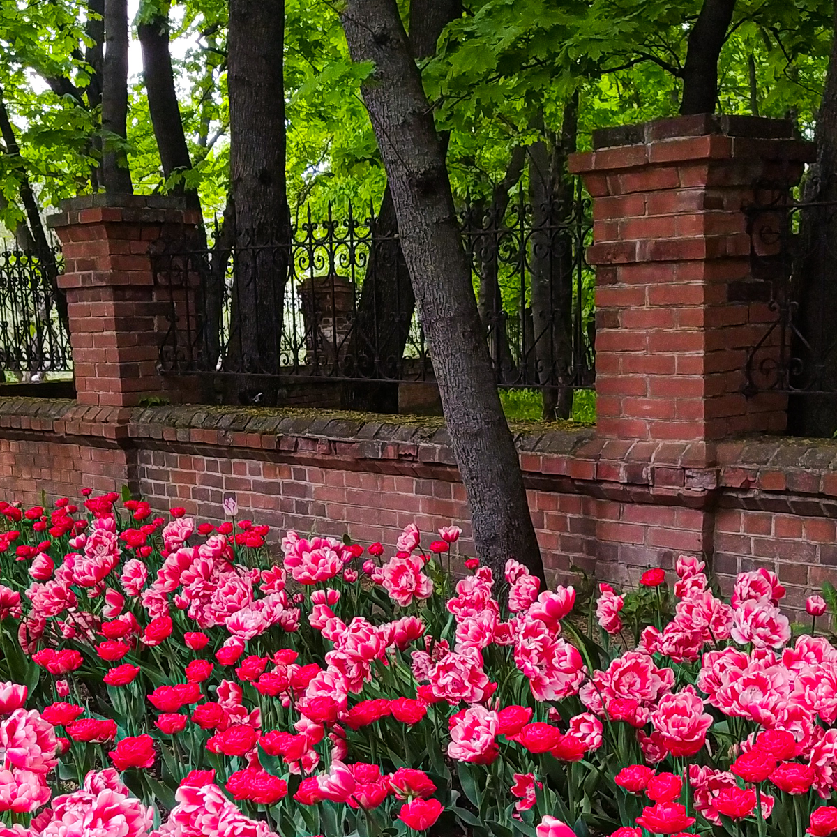 Музей-заповедник Коломенское. Фото автора.