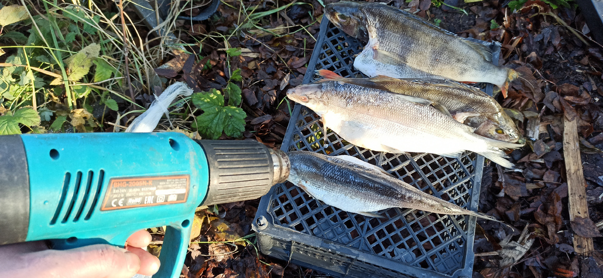 Автофен в деле