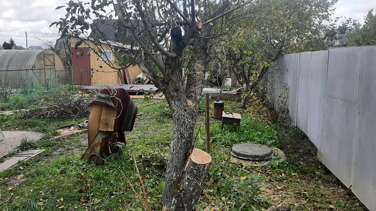 Вот такой результат нам нужен 