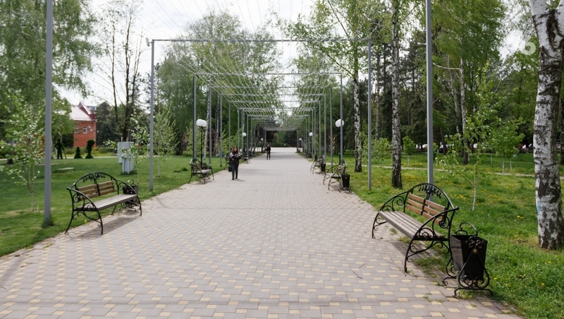      Фото: ИА «Победа26»