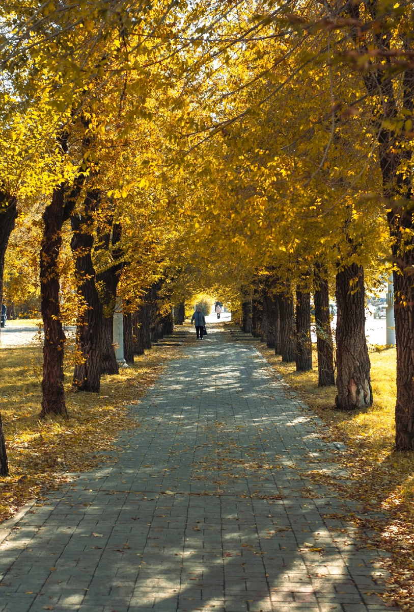 Фото автора.