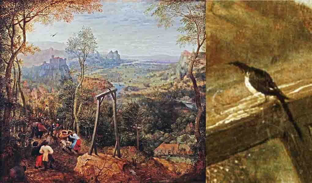 Питер Брейгель Старший  «Сорока на виселице»,    Сорока на перекладине. Фрагмент картины