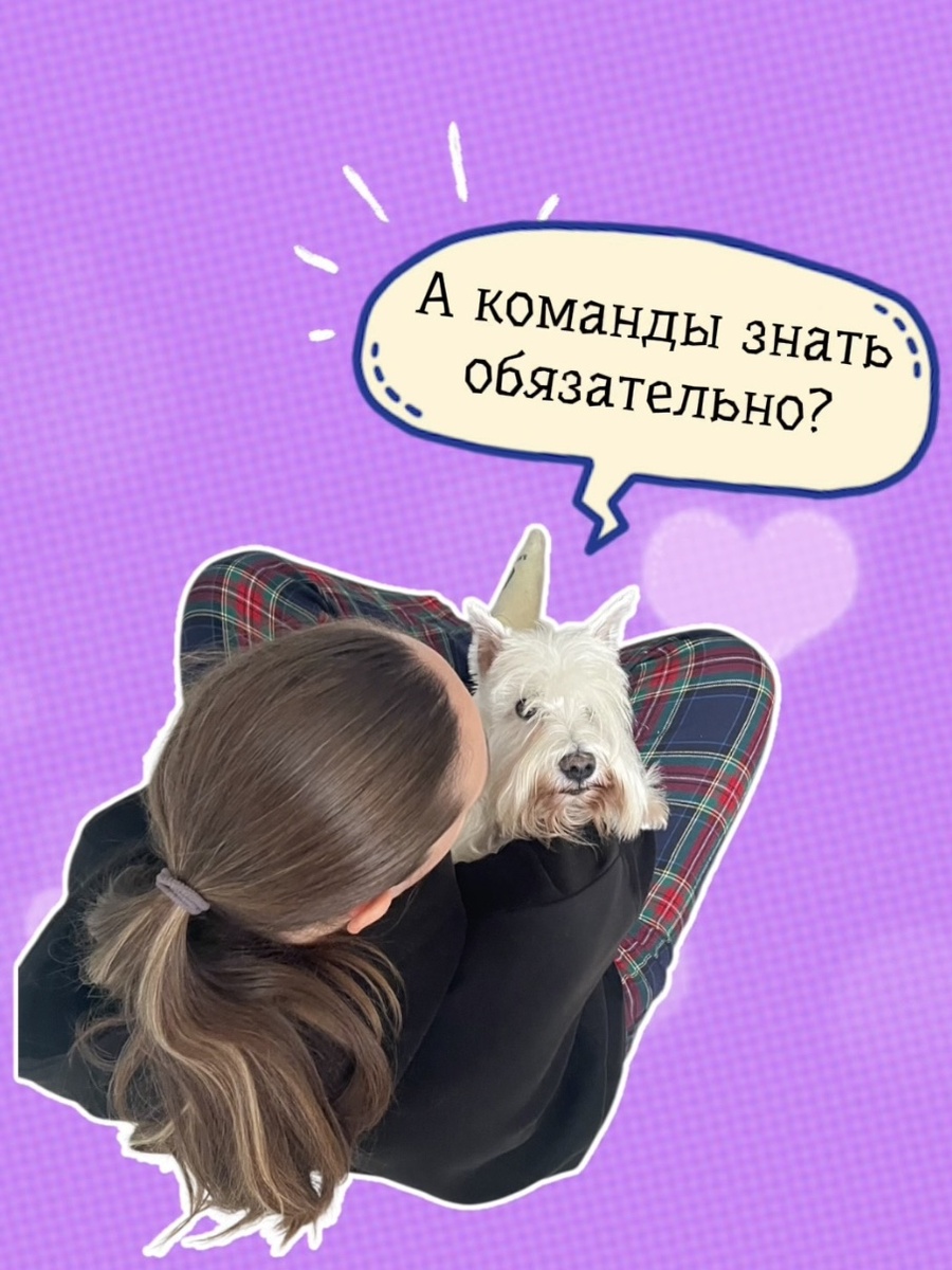 Подготовила небольшой ролик - кому можно в Ноузворк, скоро появится на канале.