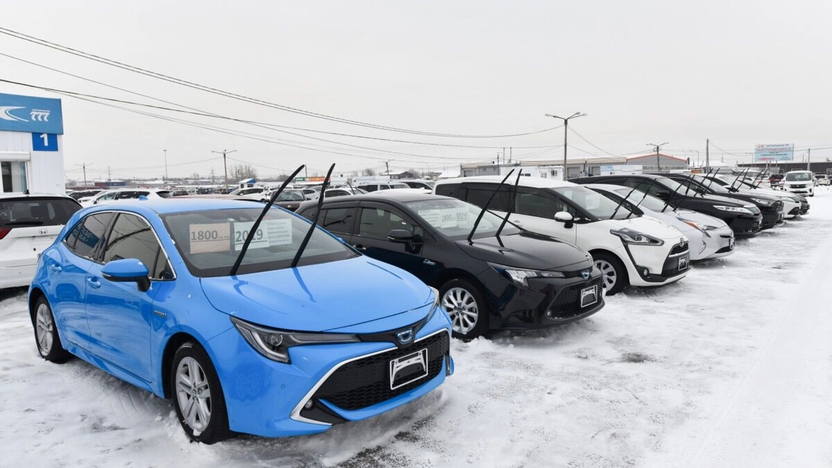 Авторынок России с трепетом ждет новых ставок утильсбора для физических лиц. Фото: Александр Манзюк, ТАСС