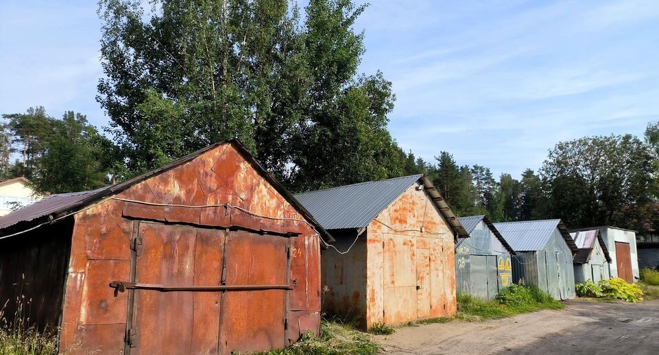    Maksim Konstantinov / www.globallookpress.com