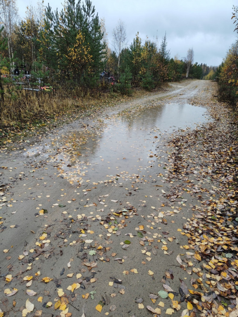  фото читательницы «Петрозаводск говорит» Ольги Тепликовой