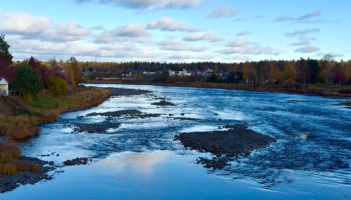 Фото пресс-службы Карельского филиала ФГБУ "Главрыбвод"