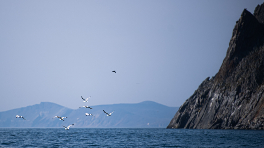    Фото: © РИА Новости/Владимир Астапкович