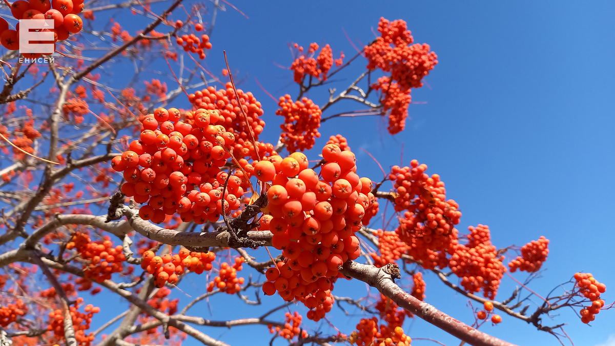     Красноярцев ждет прохладная рабочая неделя