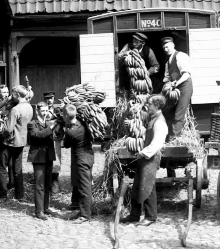 Фото из интернета