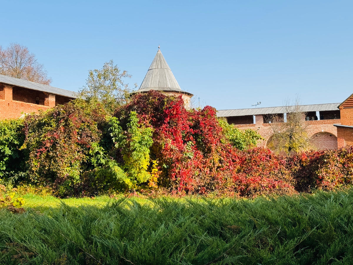 Фото автора 