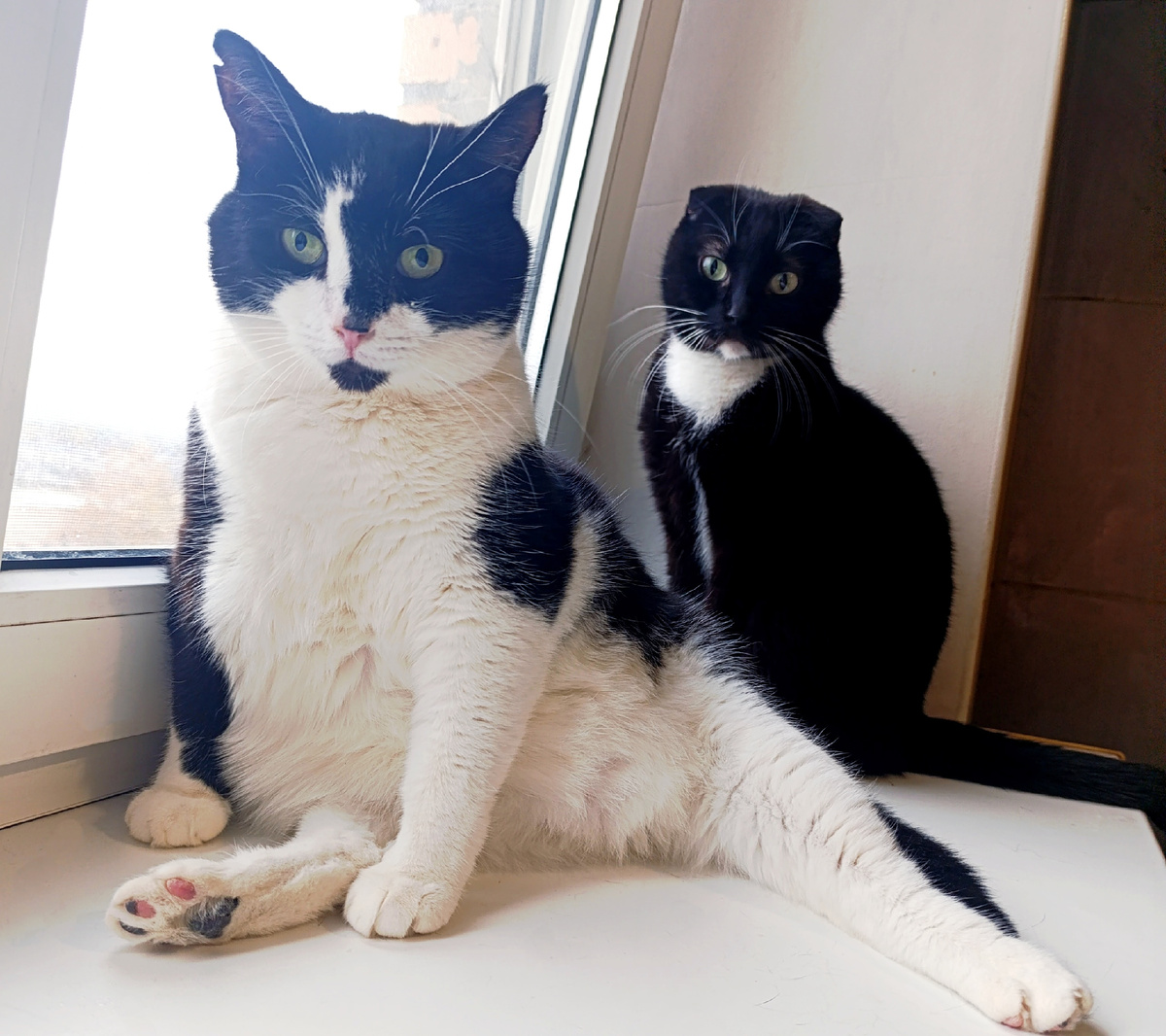 содержАны Геральт и Сурен, тоже нашли себе кожаных аленей