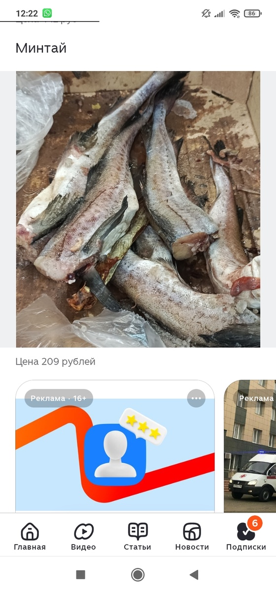 Минтай в Светофоре! 209 рублей за кг! 