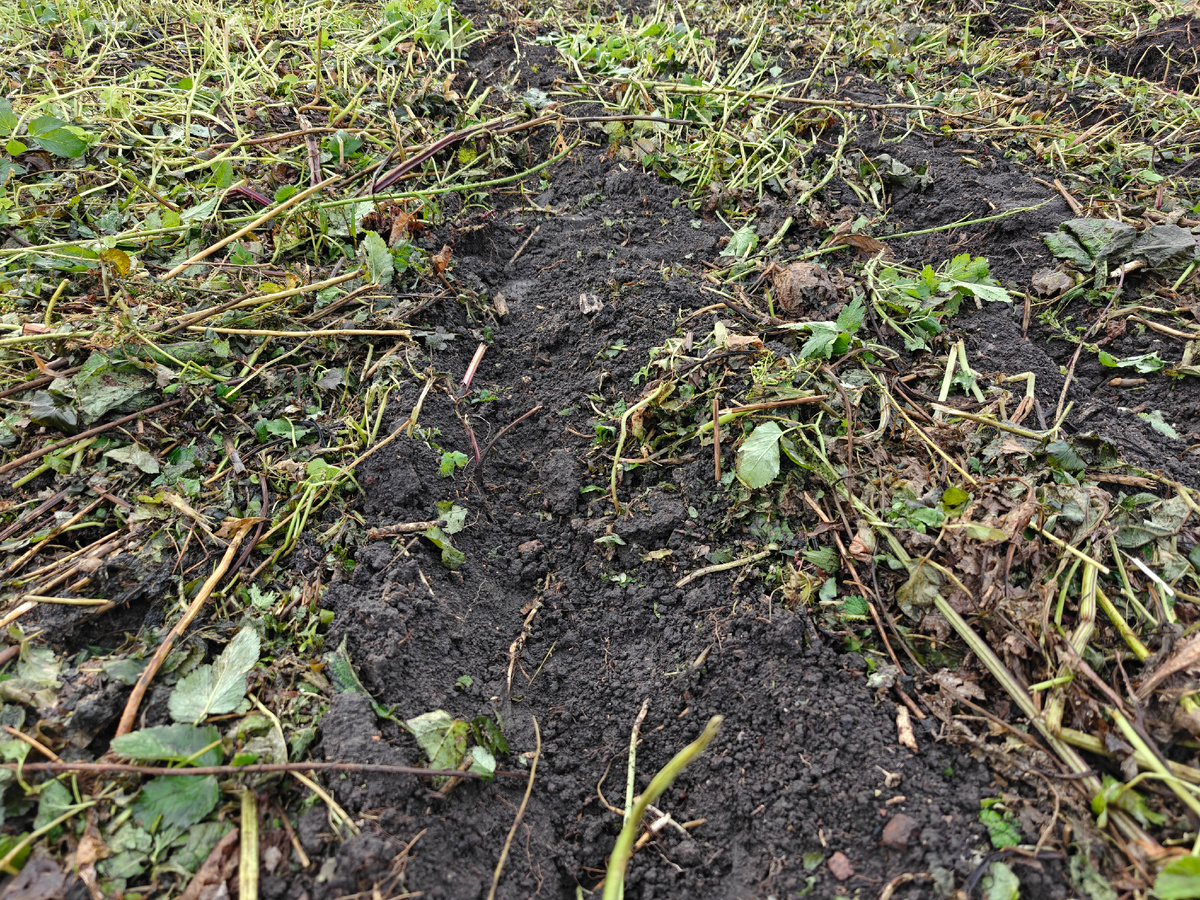 Комплектный плуг Агромаш