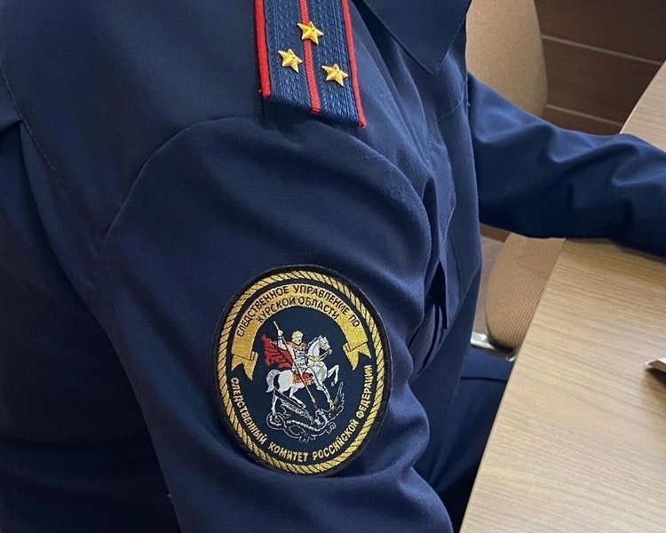     В Курске из-за падения 5-летней девочки в ТЦ возбудили уголовное дело