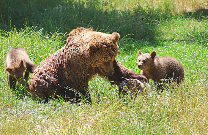    Matthias Bein/dpa/picture-alliance/TASS