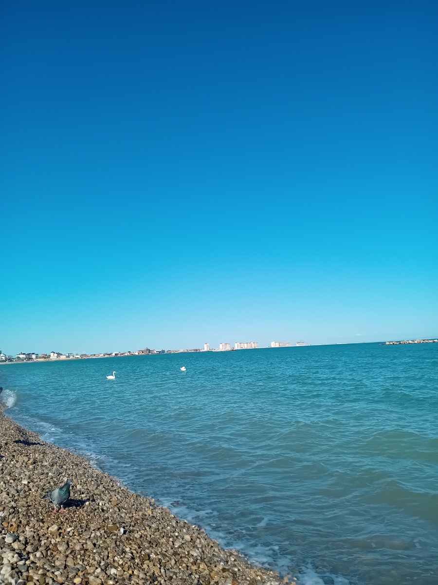 Авторское фото.