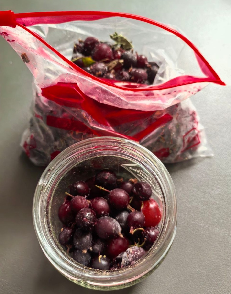 Положим крыжовник в баночку