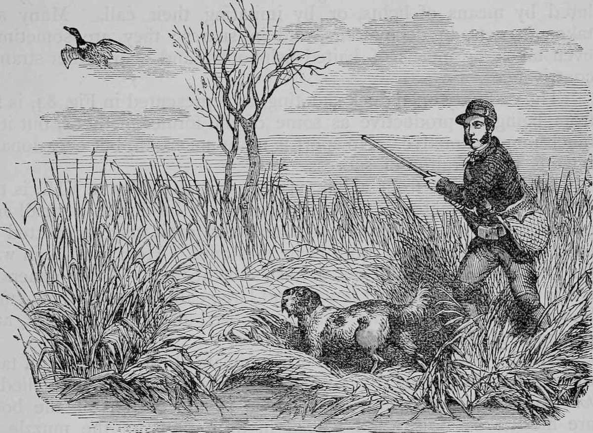 Ответ в следующей статье