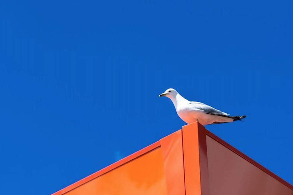 Источник: Pinterest