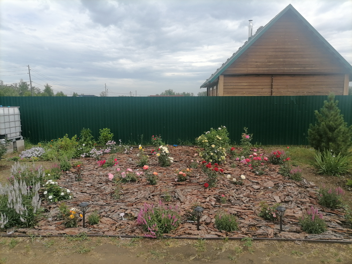 Розарий летом